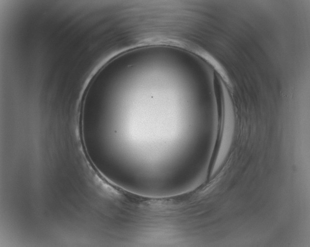 X0000073871102200608101503