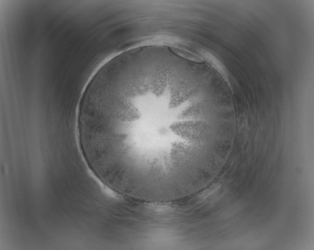 X0000073871103200608101503