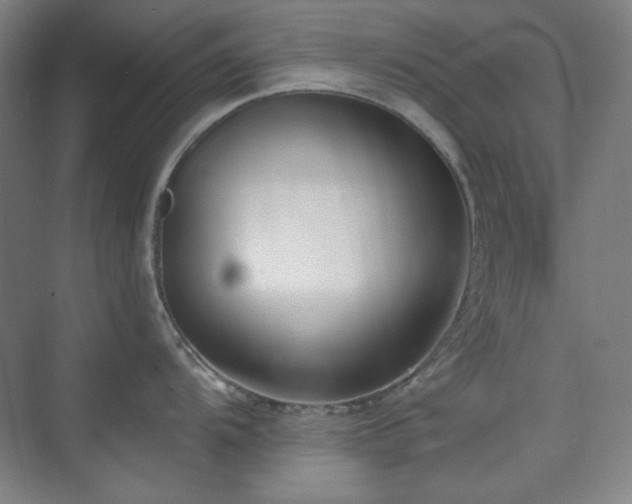 X0000073871104200608101503