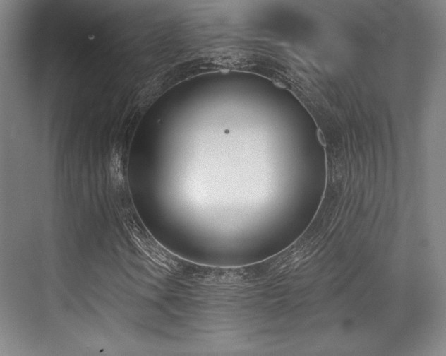 X0000073871106200608101502