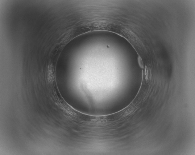 X0000073871107200608101502