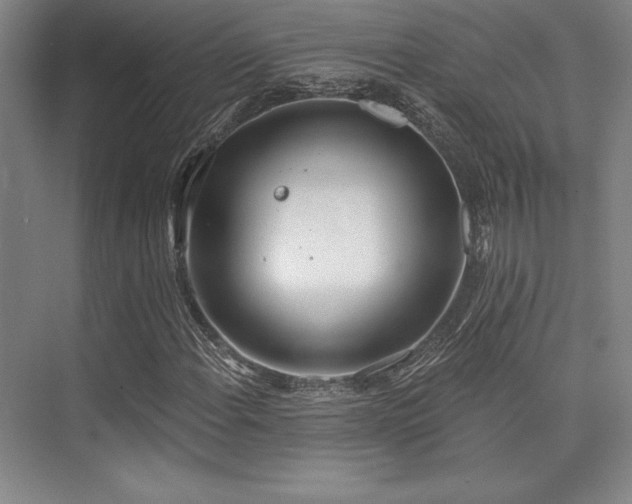 X0000073871108200608101502