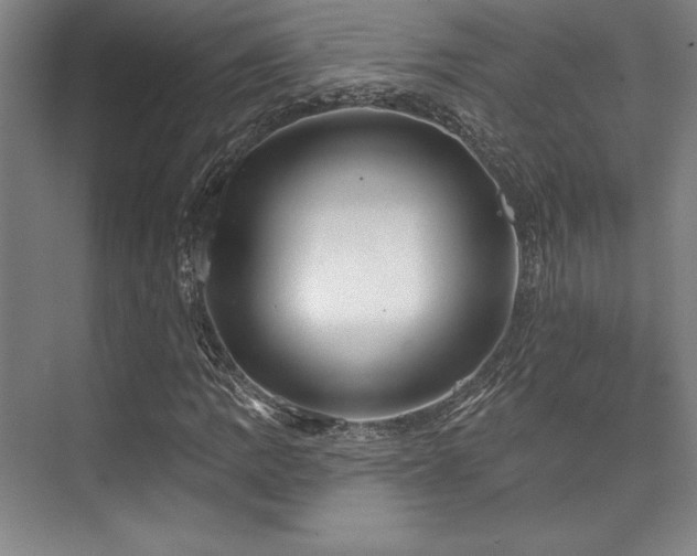 X0000073871109200608101502