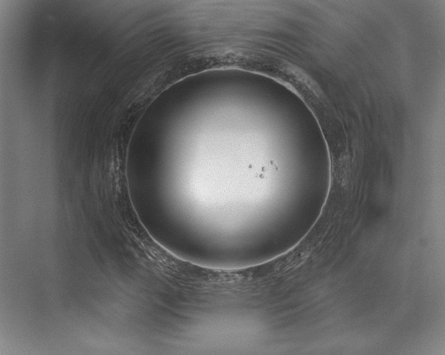 X0000073871111200608101502