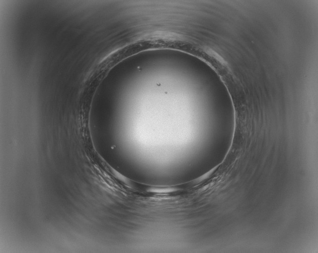 X0000073871112200608101502