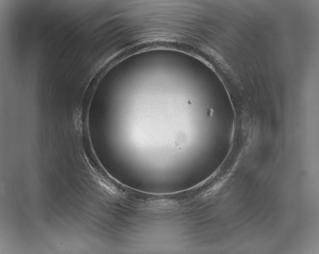 X0000073871113200608101502