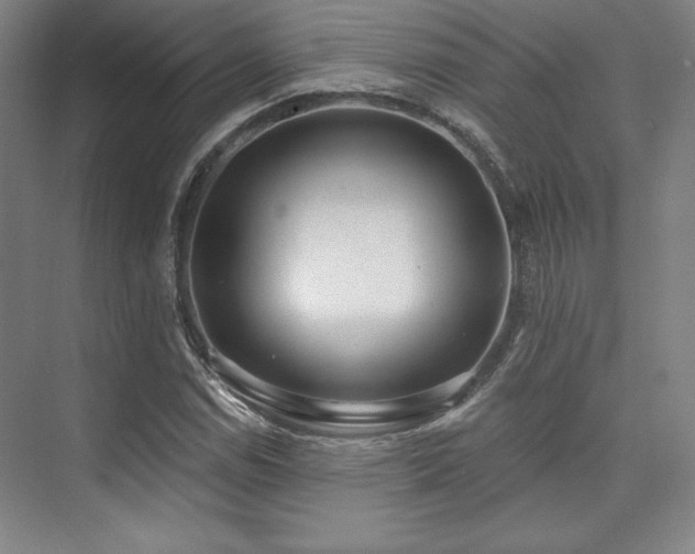 X0000073871114200608101502