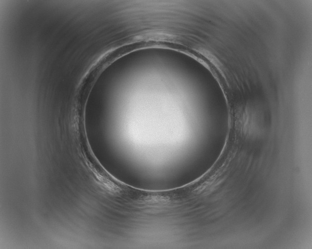 X0000073871115200608101502