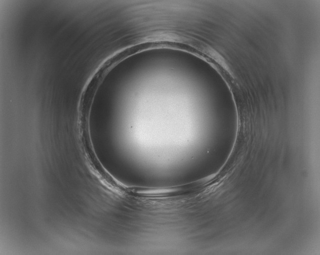 X0000073871116200608101502