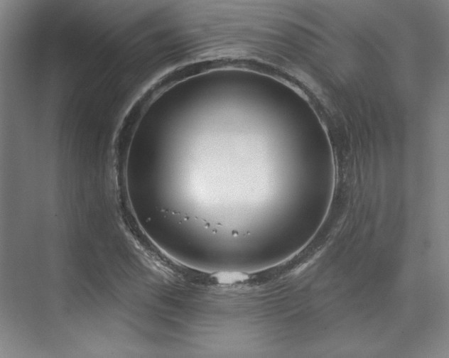 X0000073871118200608101502