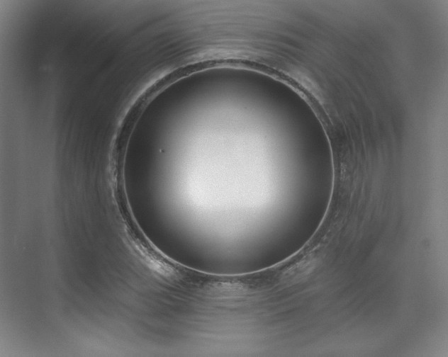 X0000073871119200608101502