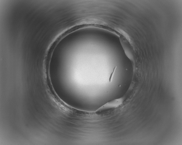 X0000073871120200608101502