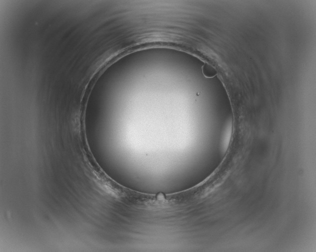 X0000073871121200608101502