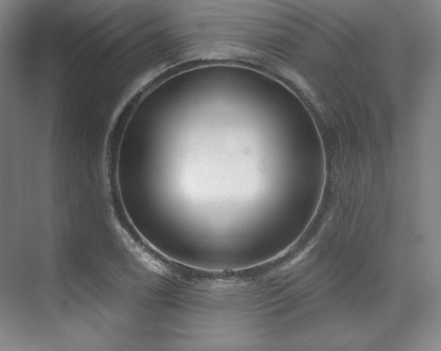 X0000073871122200608101502