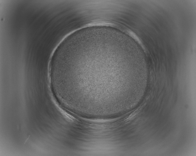 X0000073871124200608101502