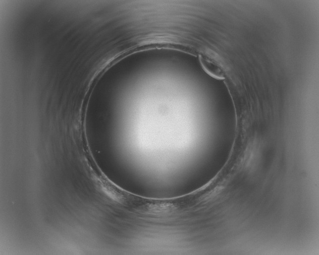 X0000073871129200608101503