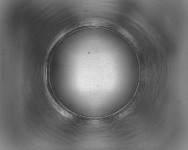 X0000073871130200608101503