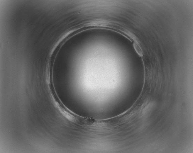 X0000073871131200608101503