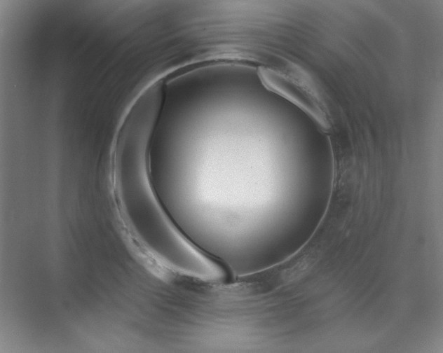 X0000073871132200608101503