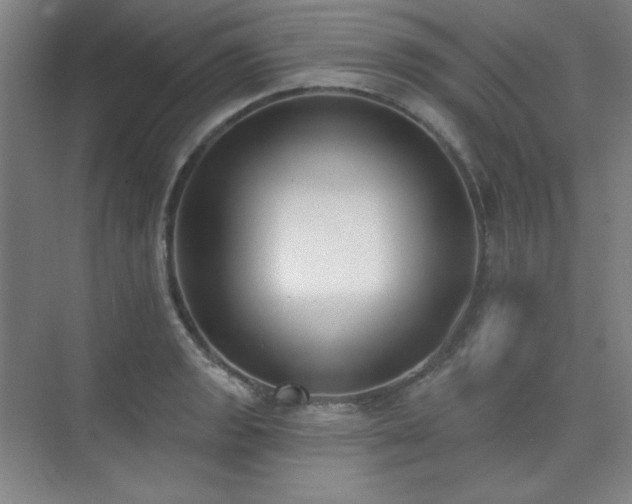 X0000073871133200608101503