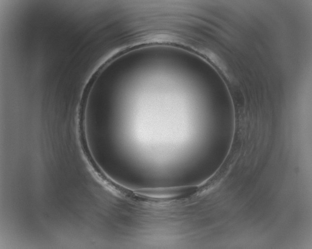 X0000073871134200608101503