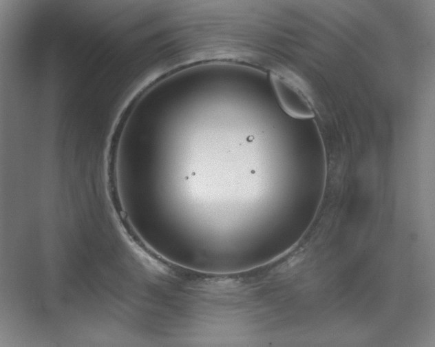 X0000073871135200608101503