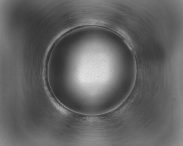 X0000073871136200608101503