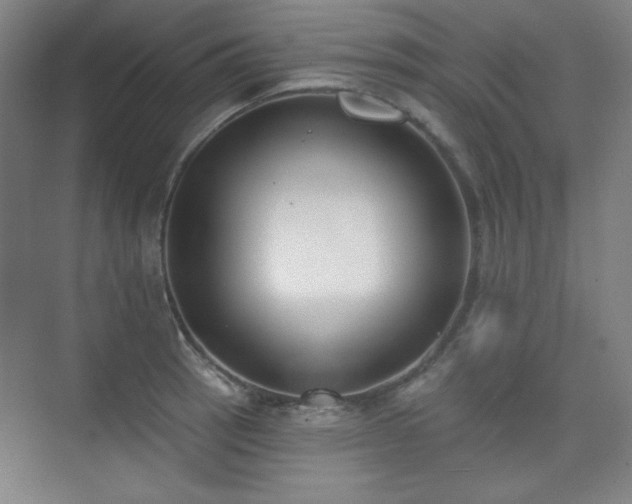 X0000073871137200608101503