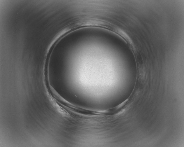 X0000073871138200608101503