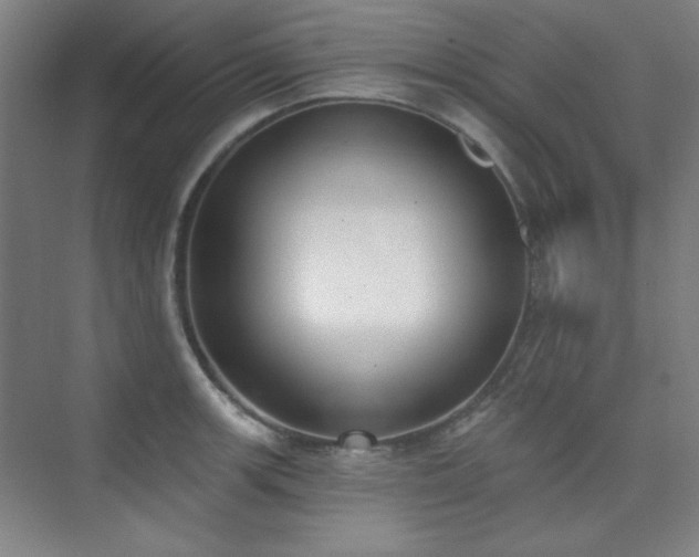 X0000073871139200608101503