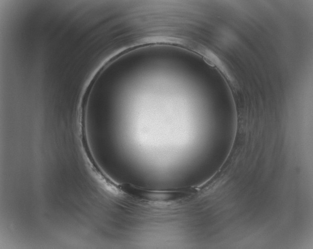 X0000073871140200608101503