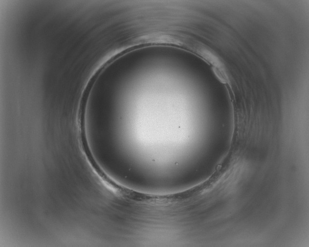 X0000073871141200608101503