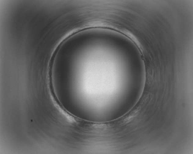 X0000073871142200608101503