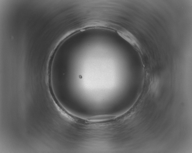 X0000073871143200608101503