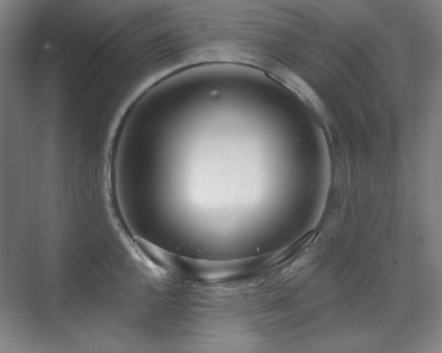 X0000073871144200608101503