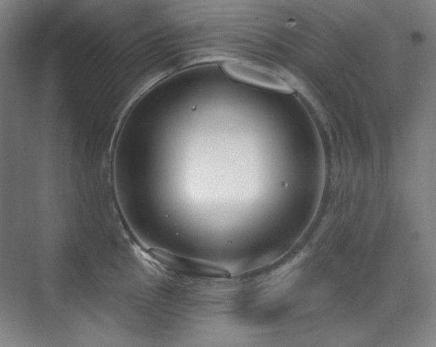 X0000073871145200608101503