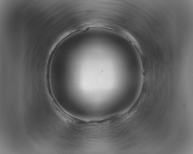 X0000073871146200608101503