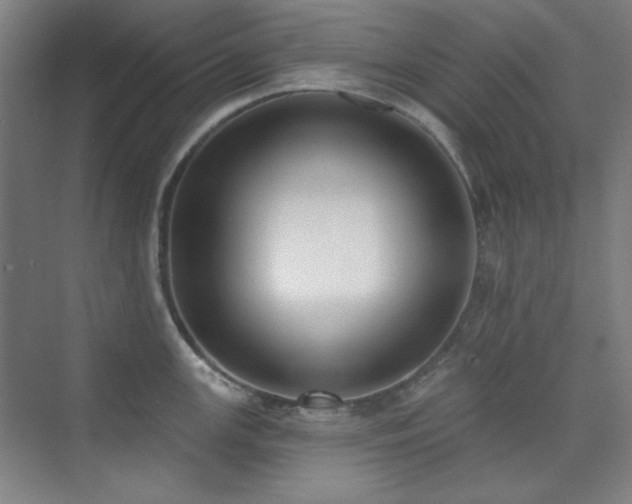 X0000073871147200608101503