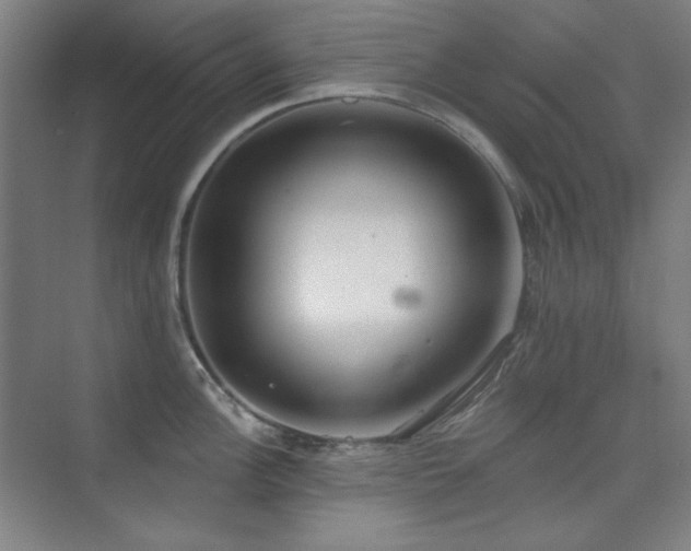 X0000073871148200608101503