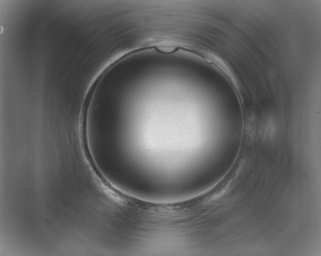 X0000073871149200608101503