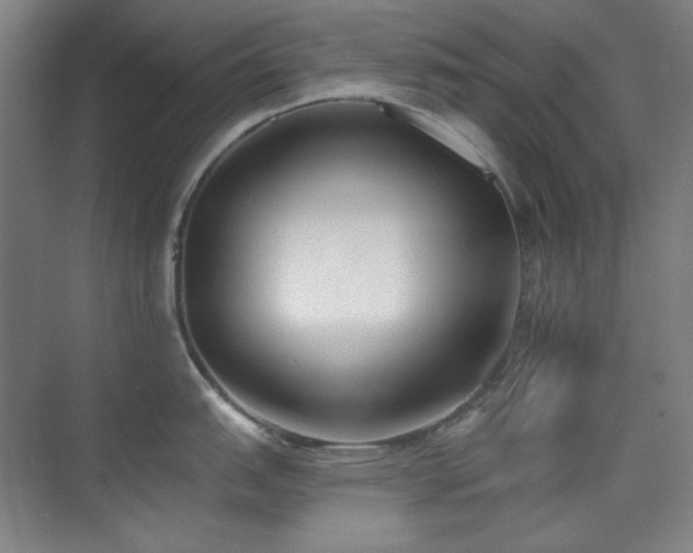 X0000073871151200608101503