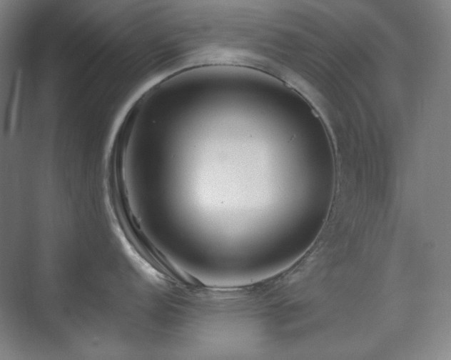 X0000073871152200608101503