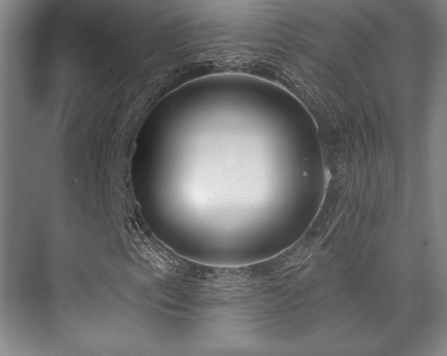 X0000073871153200608101502