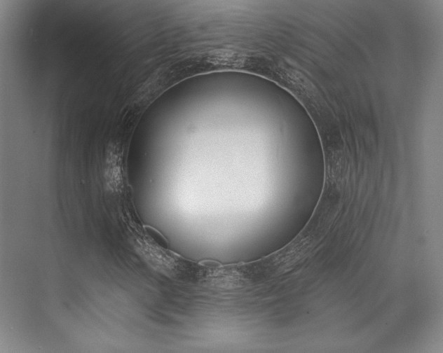 X0000073871154200608101502