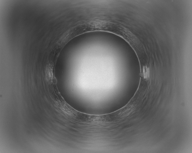 X0000073871155200608101502