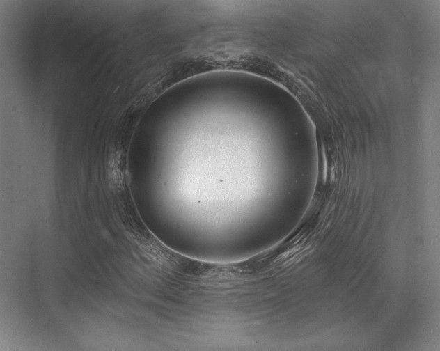 X0000073871156200608101502