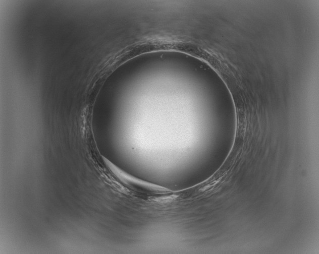 X0000073871157200608101502