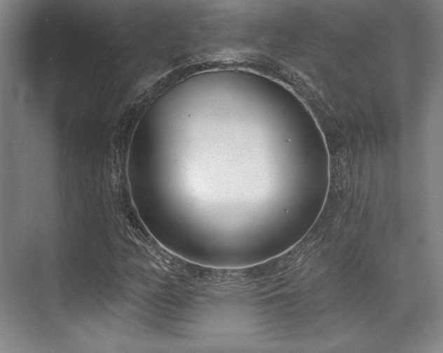 X0000073871158200608101502