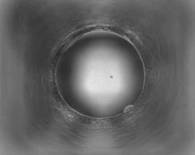 X0000073871159200608101502