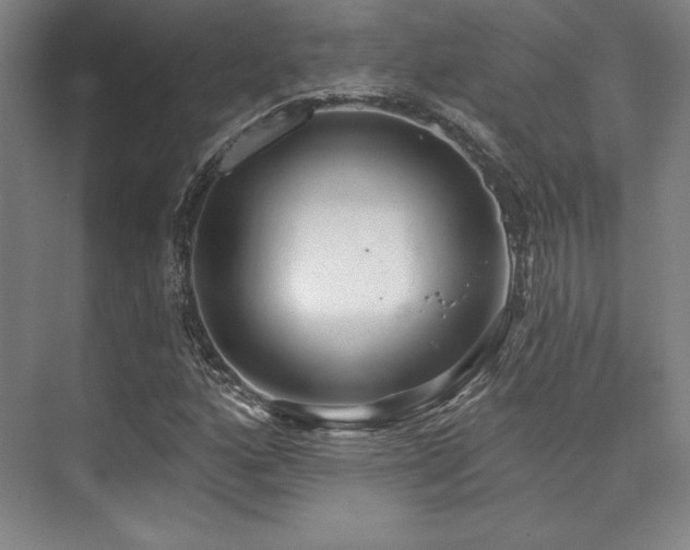 X0000073871160200608101502